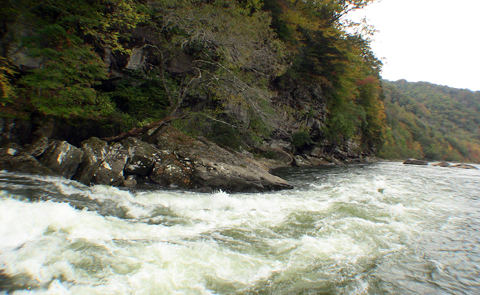 Cliff Side | Gauley River Rapids